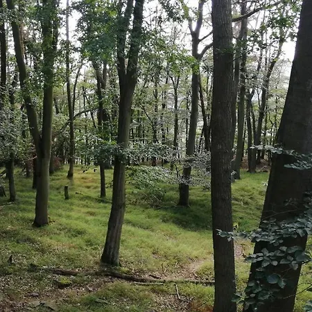 아파트 Fewo Am Nationalpark Edersee Neben Schloss Waldeck *